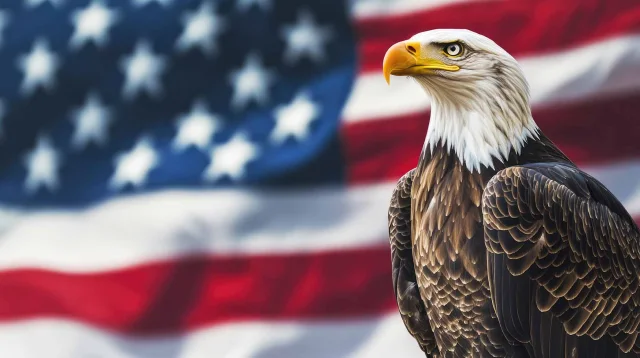 Eagle Background